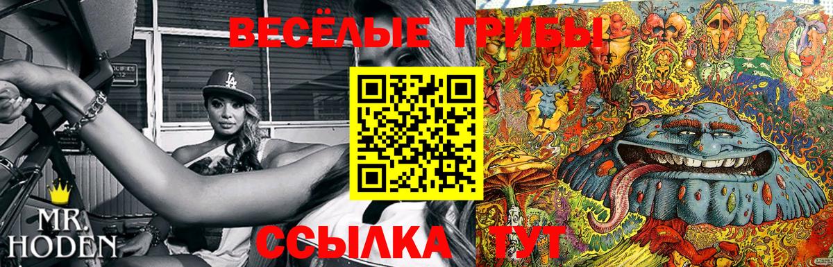 Псилоцибиновые грибы мицелий Минеральные Воды